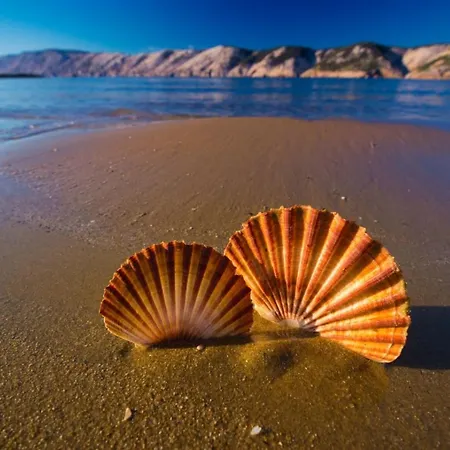 アパート Guesthouse Banjol *